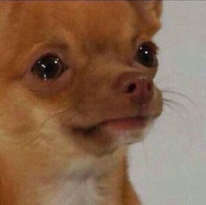 Meet your Posher, Sonia