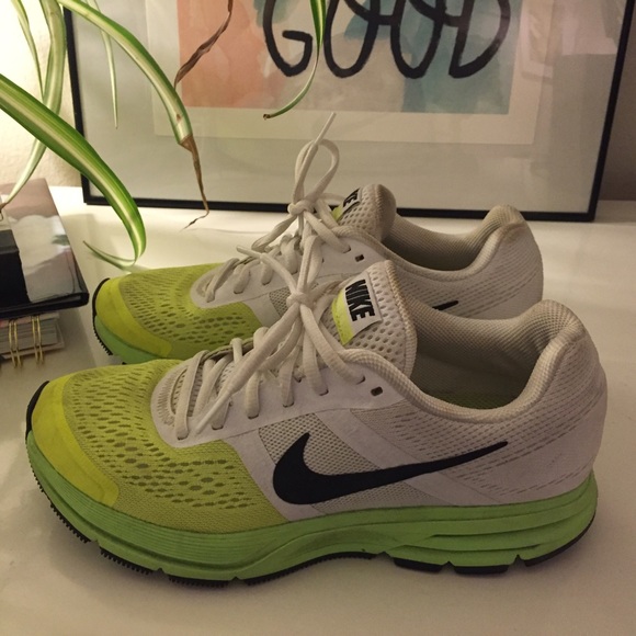 Nike Pegasus 3.0