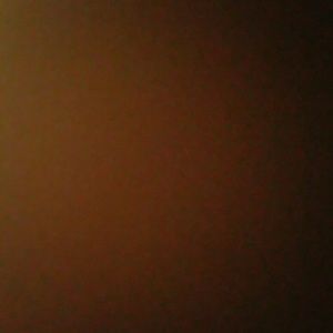 Meet your Posher, Bob