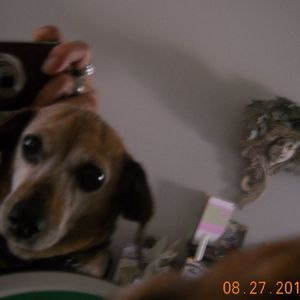 Meet your Posher, Kathy