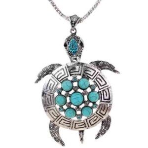 Turtle turquoise necklace.