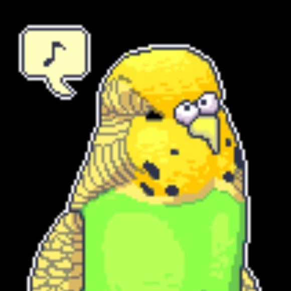 Meet your Posher, Natalia