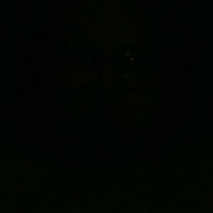 Meet your Posher, Stacia