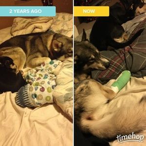 Meet your Posher, Deanna