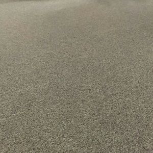 Meet your Posher, Caprice