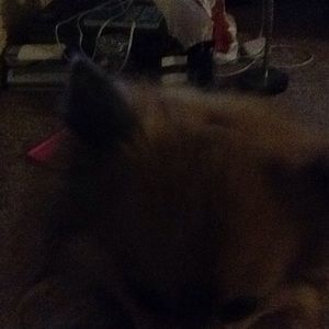 Meet your Posher, Salvador