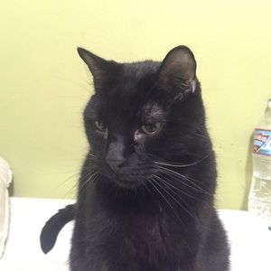 Meet your Posher, Anthony