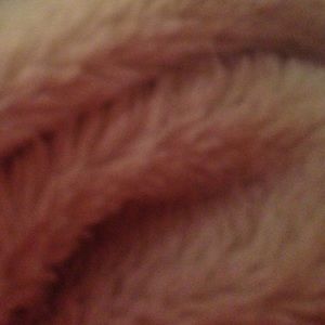 Meet your Posher, Kat