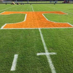 Meet your Posher, Delaney