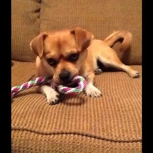 Meet your Posher, Rachelle