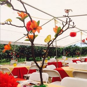 Meet your Posher, Cynthia