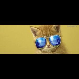 Meet your Posher, Marlene