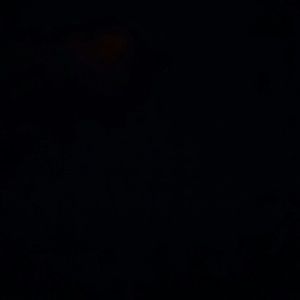 Meet your Posher, Brad