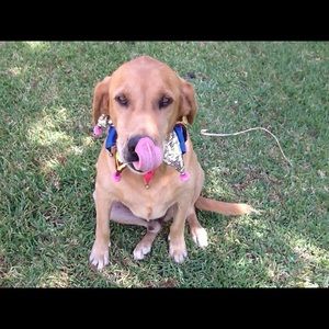 Meet your Posher, Lynn