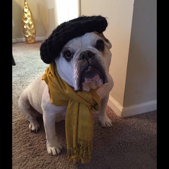 Meet your Posher, Mary - Picture 1 of 1