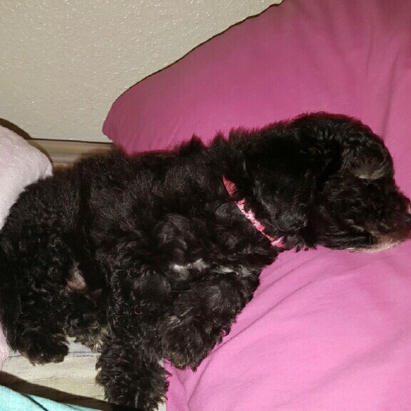 Meet your Posher, Doris - Picture 2 of 3