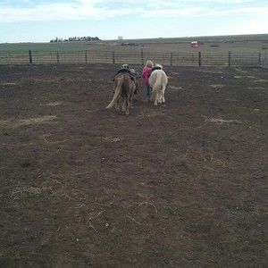 Meet your Posher, Misty