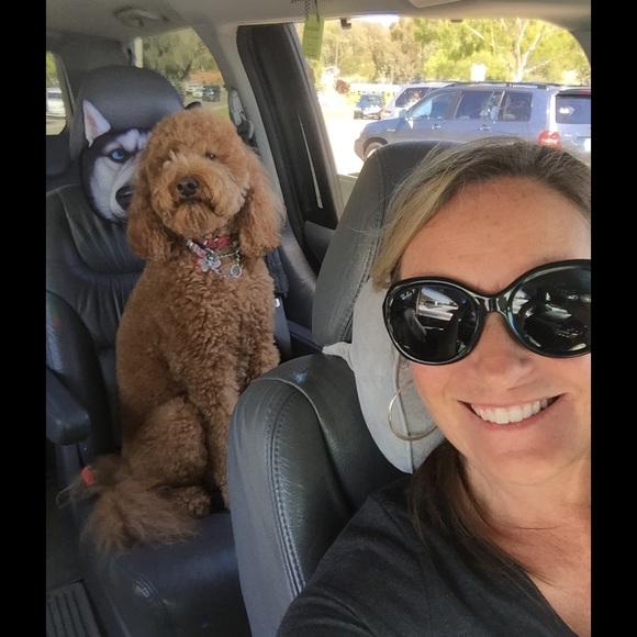 Meet your Posher, Dawn - Picture 1 of 1