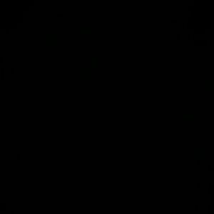 Meet your Posher, Ally