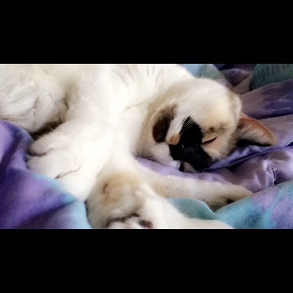 Meet your Seller❣ - Picture 3 of 3