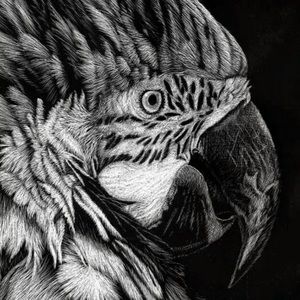 Meet your Posher, Chad