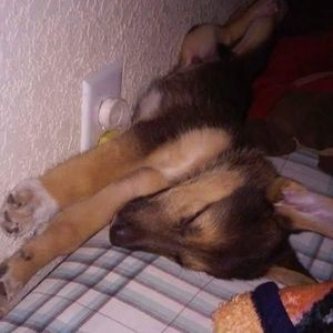 Meet your Posher, Ivan