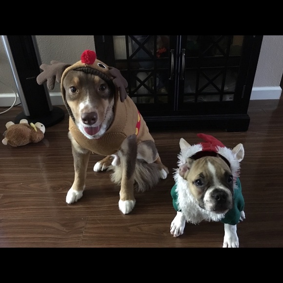 Meet your Posher, Tammy