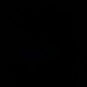 Meet your Posher, Domini