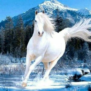 Meet your Posher, Mayra