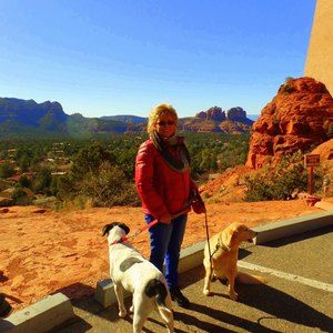 Meet your Posher, Dawn