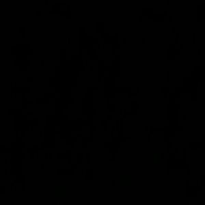 Meet your Posher, Shelley