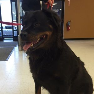 Meet your Posher, Jaden