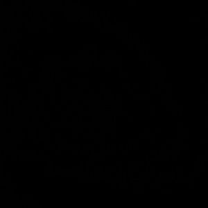 Meet your Posher, Rae