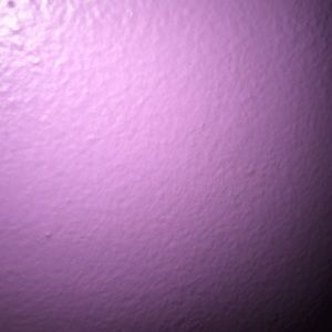 Meet your Posher, Ella