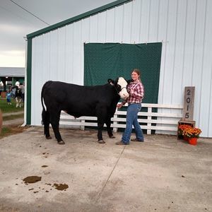 Meet your Posher, Kenzie