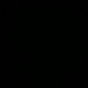 Meet your Posher, Lil