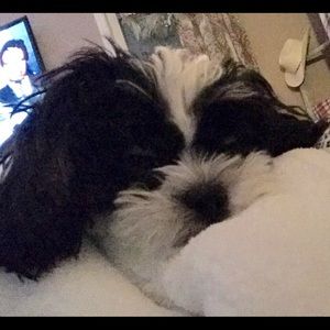 Meet your Posher, Linda