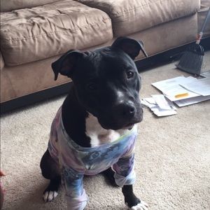 Meet your Posher, Emma