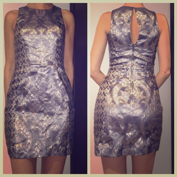 NWT stunning silver dress