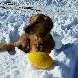 Meet your Posher, Yasuko