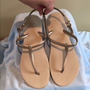 Havaianas Champagne Freedom Sandal