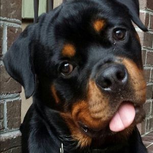 Meet your Posher, Chasidy