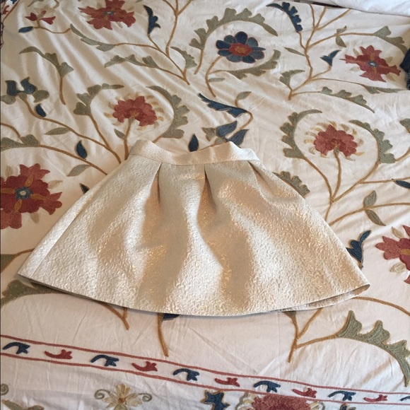 Beautiful high wasted shimmer skirt