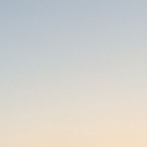 Meet your Posher, Ally