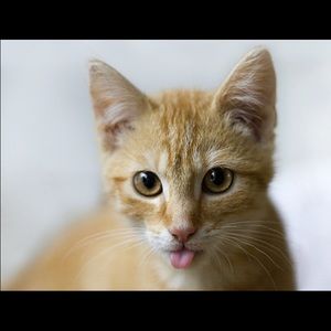 Meet your Posher, Ethan