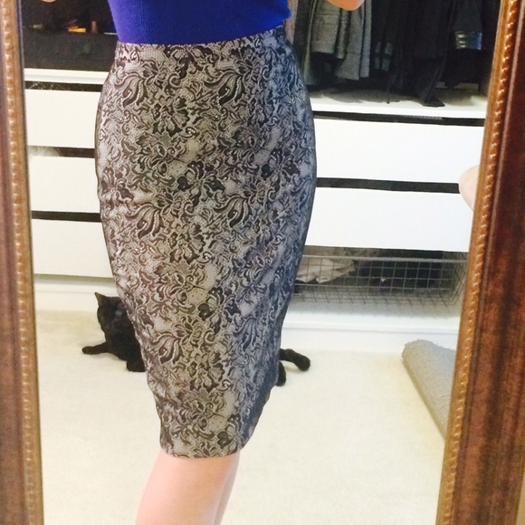The Limited Lace Skirt - Picture 1 of 3