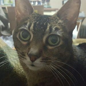 Meet your Posher, Maria