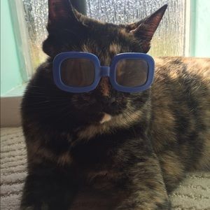 Meet your Posher, Tess