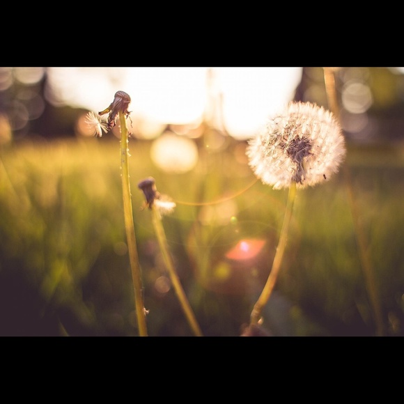 Meet your Posher, A - Picture 2 of 4