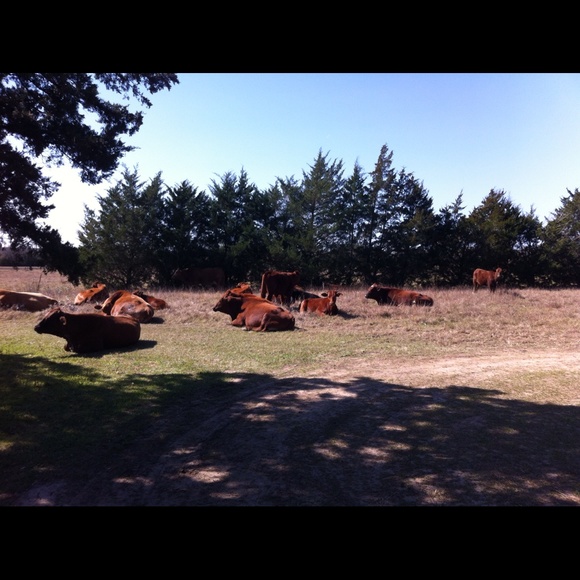 Meet your Posher, A - Picture 4 of 4